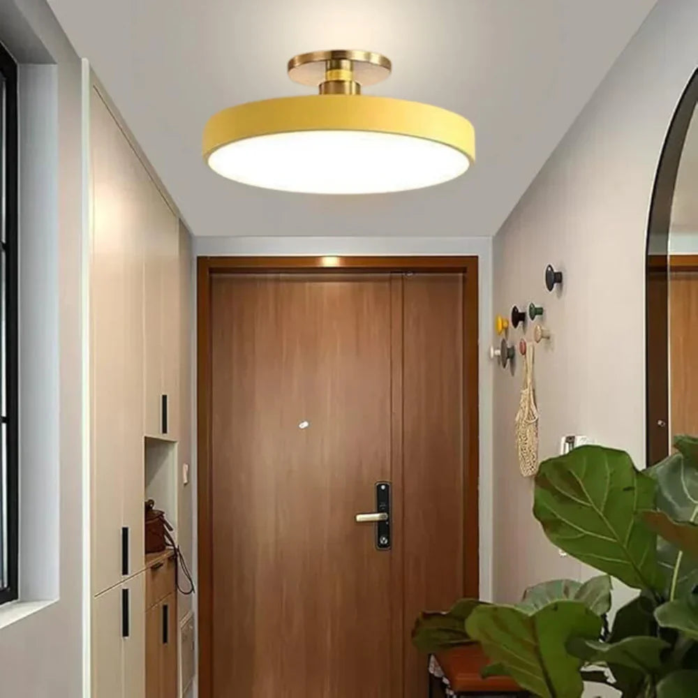 The Serene Halo Ceiling Light