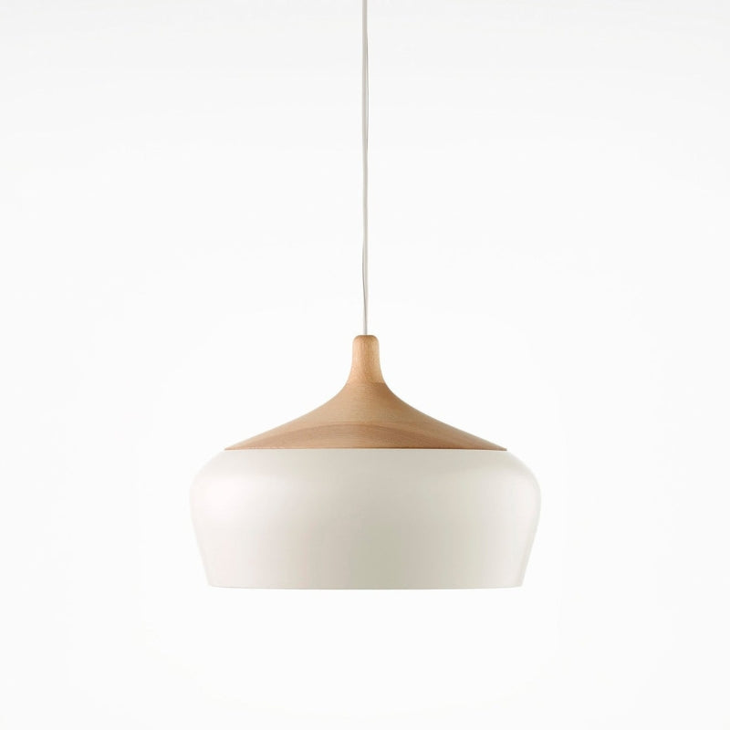 Scandinavian Creative Pendant Light