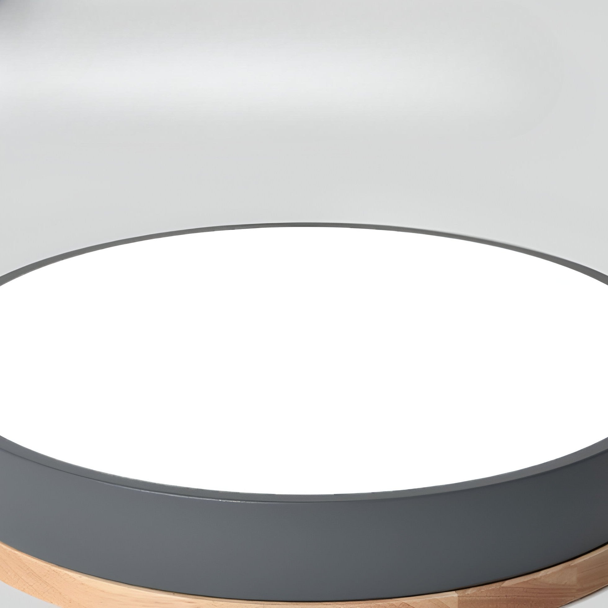Nordic LED Round Flush Acrylic Minimalist Ceiling Light