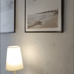 Elegant Wireless Wall Sconces feature animation