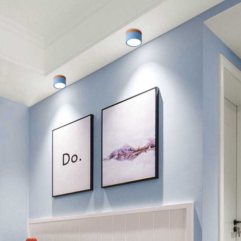 Don Nordic Modern Ceiling Light
