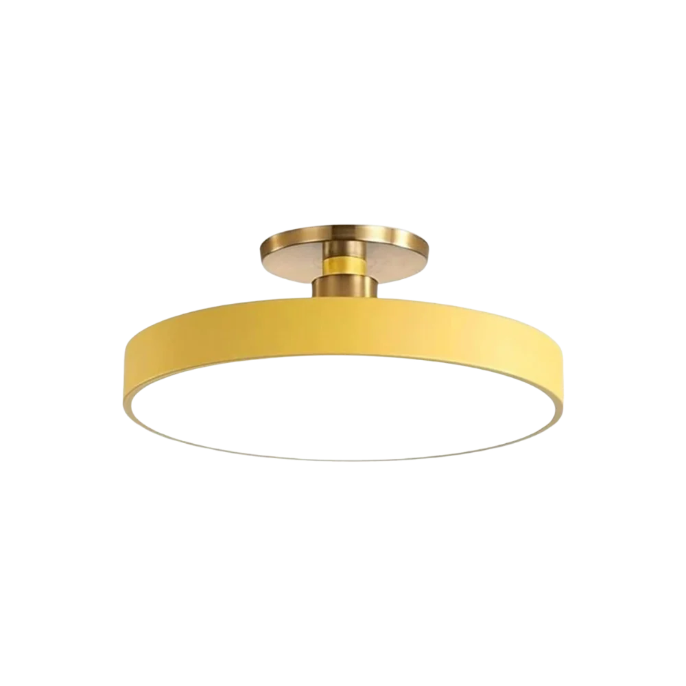 The Serene Halo Ceiling Light