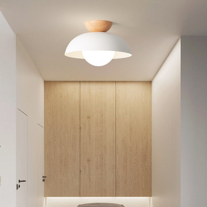 BLACK DOME WOOD CEILING LAMP
