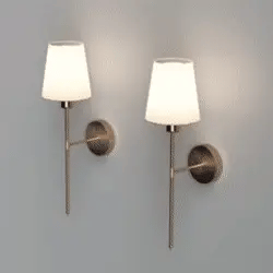 Elegant Wireless Wall Sconces feature animation